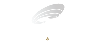 logo_footer_consilium